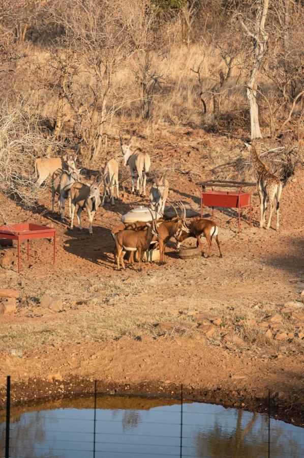 Вилла Tholo Manzi Private Game Farm Zeerust Экстерьер фото