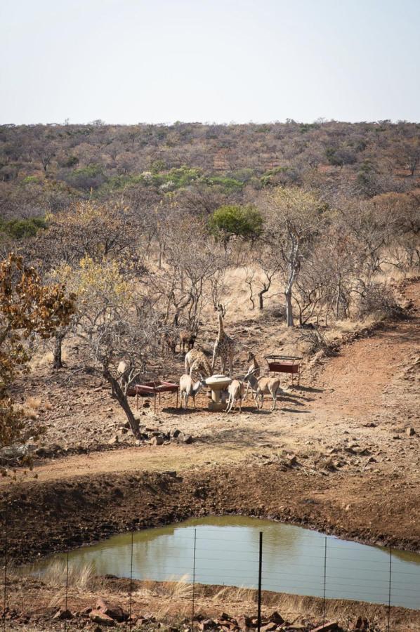 Вилла Tholo Manzi Private Game Farm Zeerust Экстерьер фото