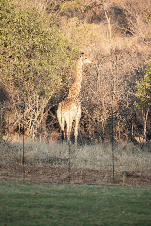 Вилла Tholo Manzi Private Game Farm Zeerust Экстерьер фото