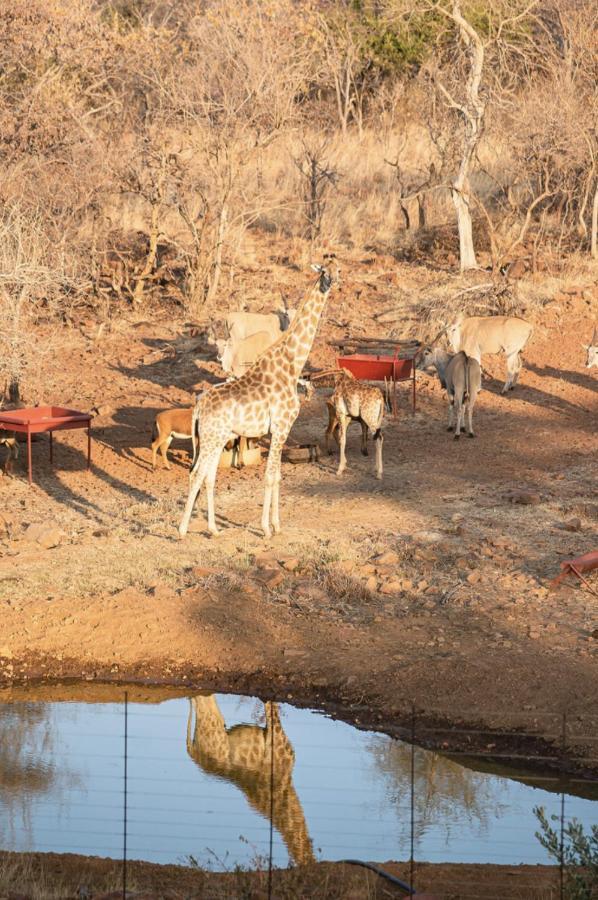 Вилла Tholo Manzi Private Game Farm Zeerust Экстерьер фото