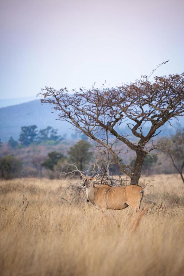 Вилла Tholo Manzi Private Game Farm Zeerust Экстерьер фото